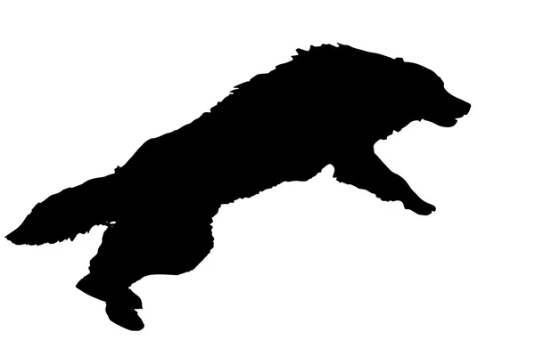 Silhouette noire d'un chien — Image vectorielle