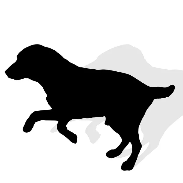 Silueta negra de un perro — Vector de stock