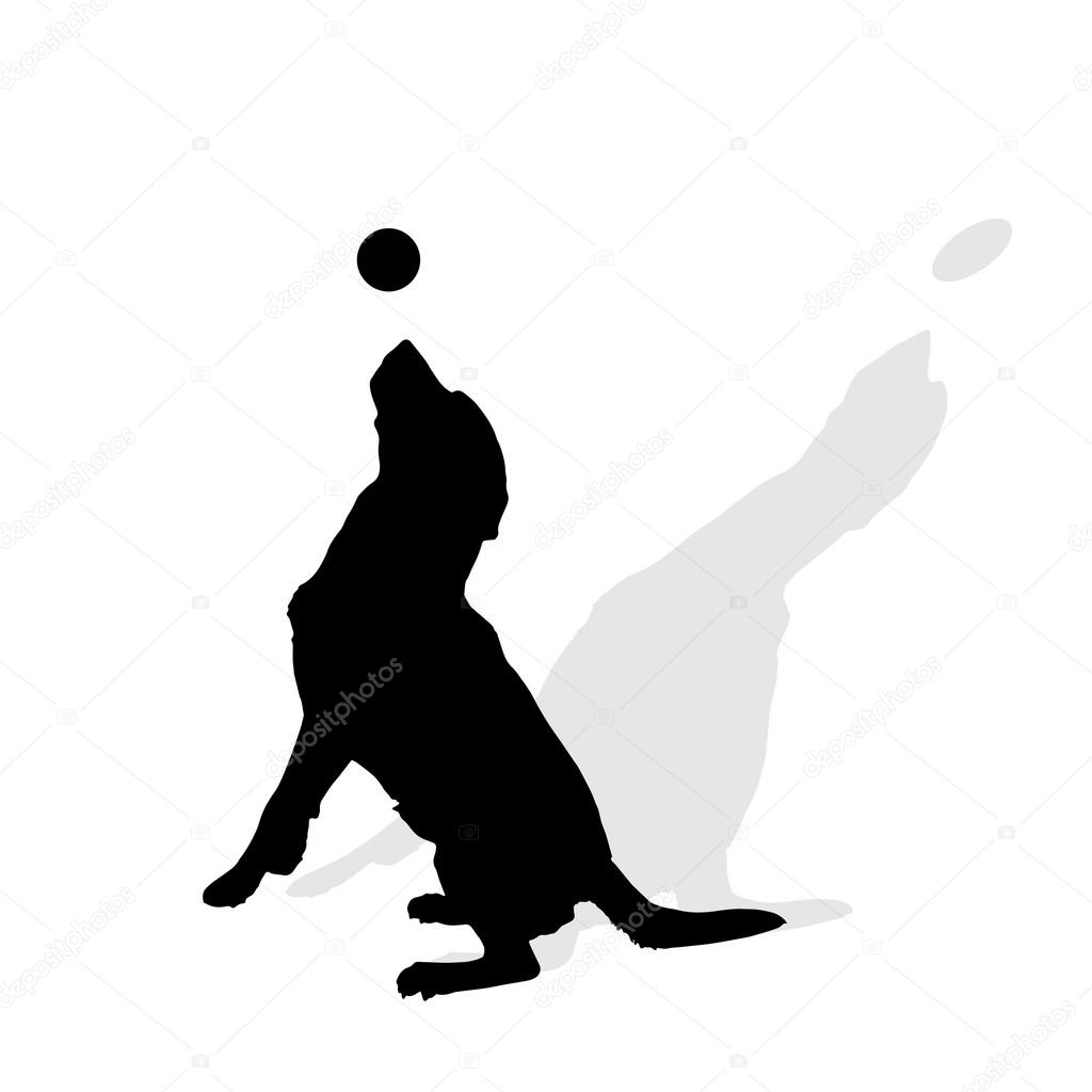 Black silhouette of a dog