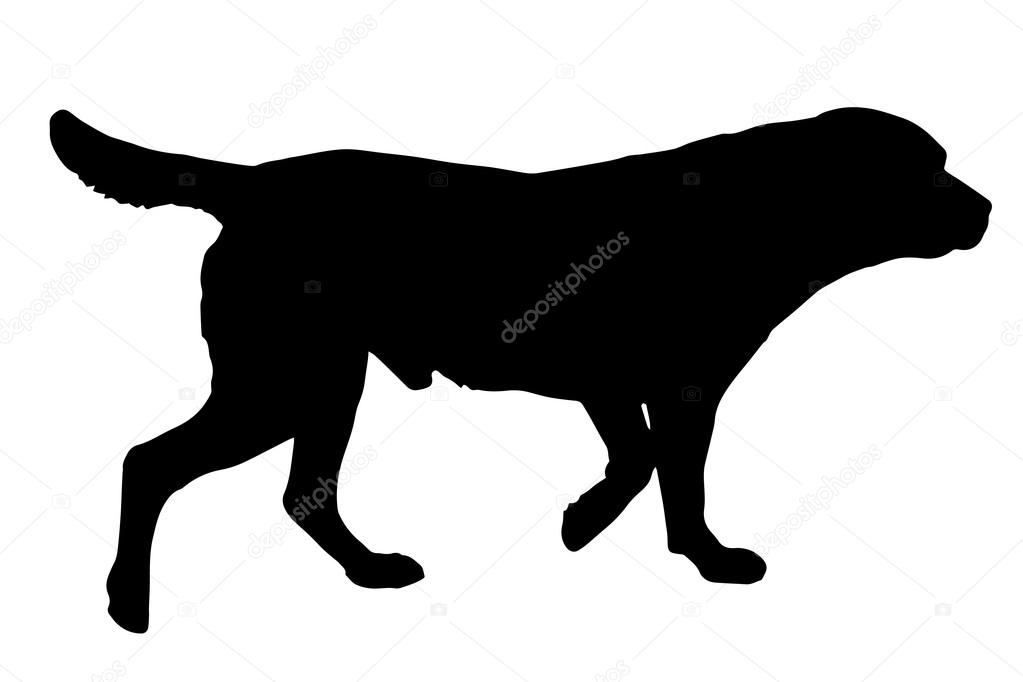 Black silhouette of a dog