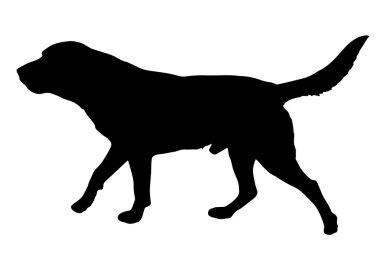 Siyah bir köpek silueti.