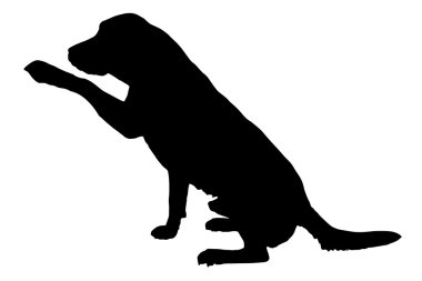 Siyah bir köpek silueti..