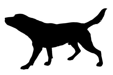 Black silhouette of a dog. clipart