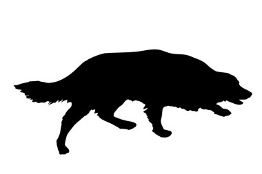 Siyah bir köpek silueti..