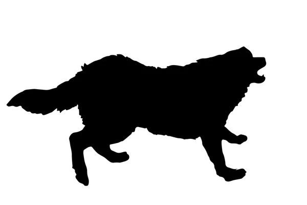 Fekete sziluett egy kutya. — Stock Vector