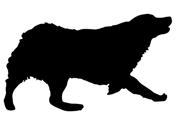 Schwarze Silhouette eines Hundes. — Stockvektor