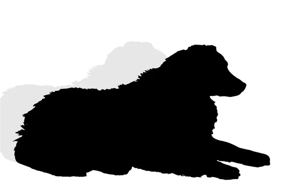 Zwart silhouet van een hond. — Stockvector