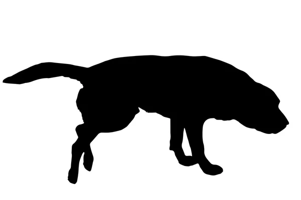 Чёрный силуэт собаки. — стоковый вектор