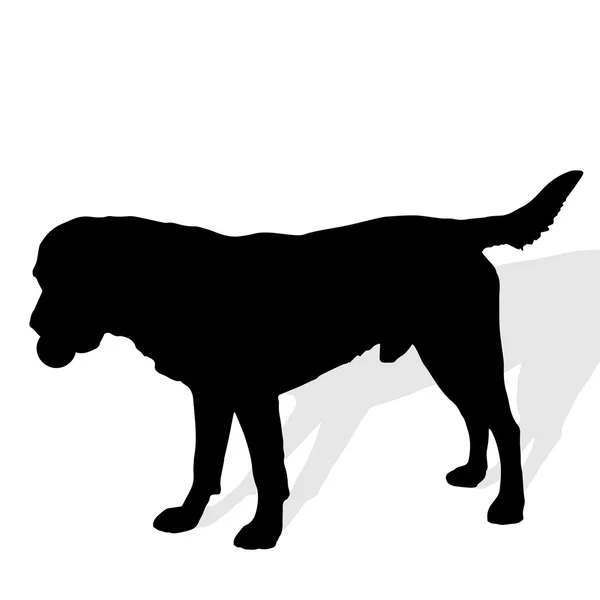 Silueta negra de un perro. — Vector de stock