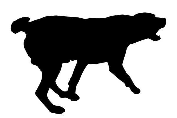 Silhouette nera di un cane — Vettoriale Stock