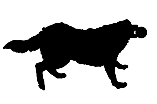 Černá silueta psa. — Stockový vektor