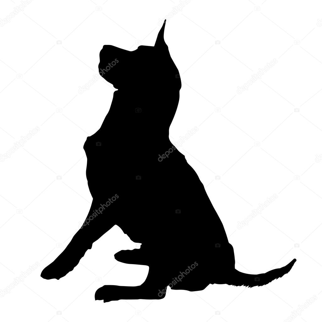 Black silhouette of a dog.