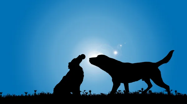 Silhouette of two dogs — Stock Vector