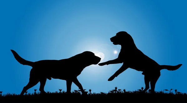 Silhouet van twee honden — Stockvector