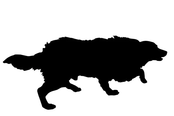 Zwart silhouet van een hond. — Stockvector