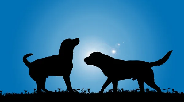 Silhouette of two dogs — Stock Vector