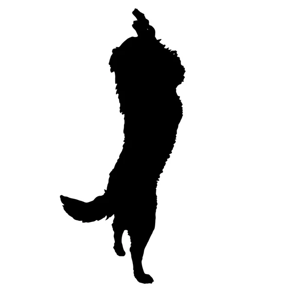Svart siluett av en hund. — Stock vektor