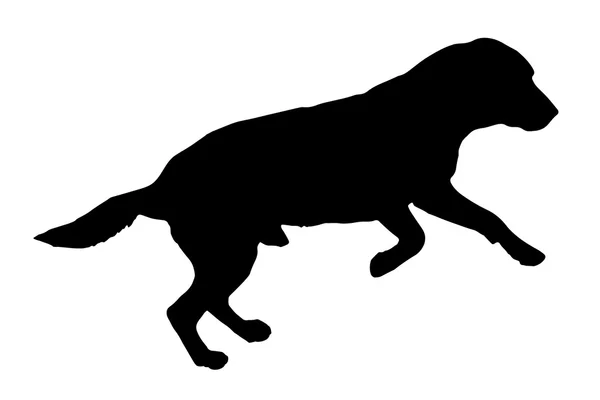Silhouette nera di un cane. — Vettoriale Stock