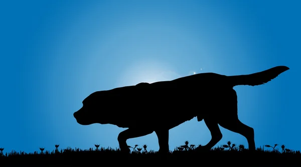 Silhouet van een hond in de natuur. — Stockvector