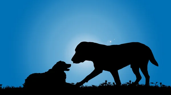 Silhouette of two dogs — Stock Vector