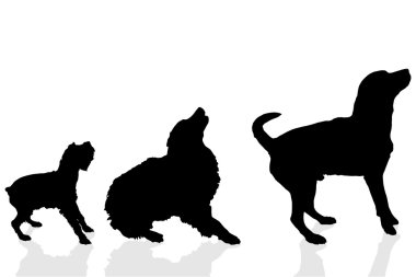 oynak köpeklerin siluetleri