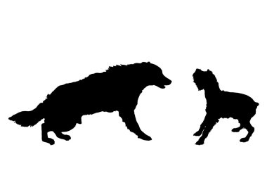 oynak köpeklerin siluetleri