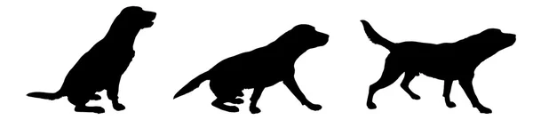 Silhouettes de chiens ludiques — Image vectorielle