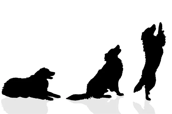 Silhouetten van speelse honden — Stockvector