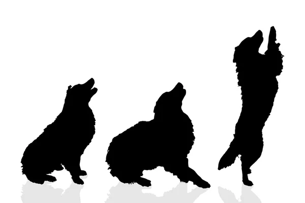 Силуэты игривых собак — стоковый вектор