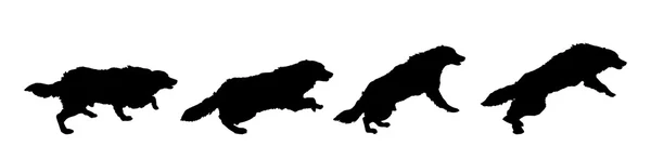 Silhouetten van speelse honden — Stockvector