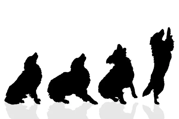 Silhouettes de chiens ludiques — Image vectorielle