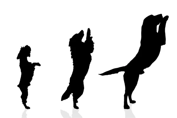 Silhouettes of playful dogs — Stock Vector