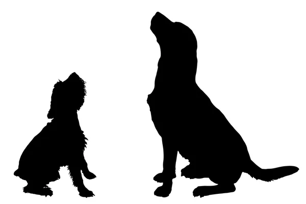 Silhouetten van speelse honden — Stockvector