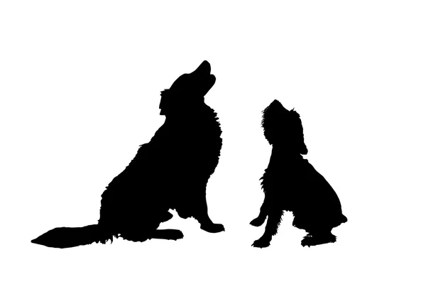 Silhouetten verspielter Hunde — Stockvektor