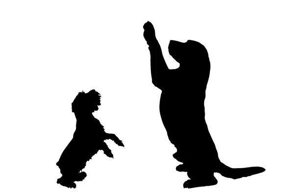 Silhouettes de chiens ludiques — Image vectorielle