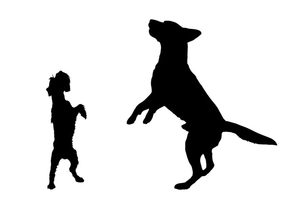 Silhouetten van speelse honden — Stockvector