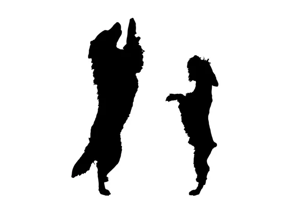 Silhouettes de chiens ludiques — Image vectorielle