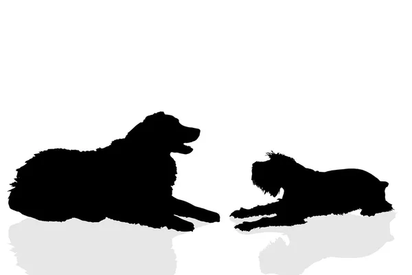 Силуэты игривых собак — стоковый вектор