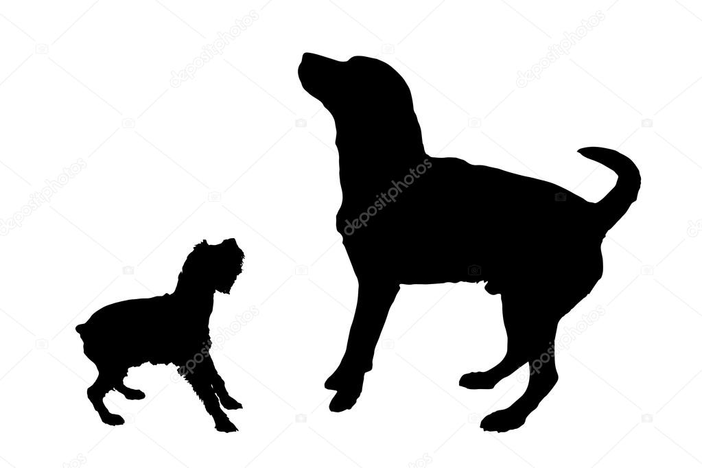 silhouettes of playful dogs