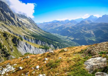 Mont Blanc buzullarına giden yolun yarısında Avrupa 'nın en yüksek dağ bahçesi olan Alp Botanik Bahçesi var.   