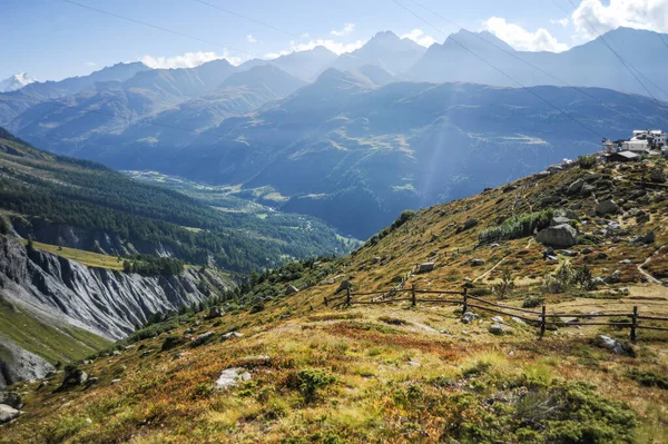 Połowie Drogi Lodowce Mont Blanc Znajduje Się Alpejski Ogród Botaniczny — Zdjęcie stockowe