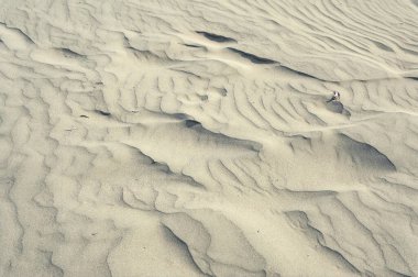 Kıbrıs 'ın güney kıyısındaki Akrotiri Burnu kum tepeleriyle ünlüdür.