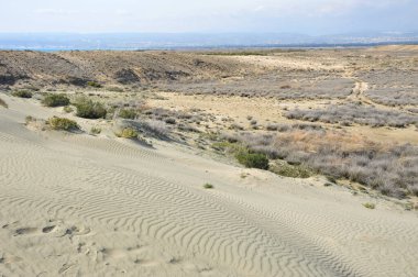 Kıbrıs 'ın güney kıyısındaki Akrotiri Burnu kum tepeleriyle ünlüdür.
