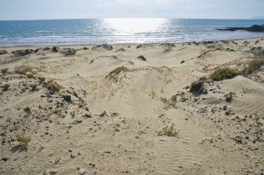 Kıbrıs 'ın güney kıyısındaki Akrotiri Burnu kum tepeleriyle ünlüdür.