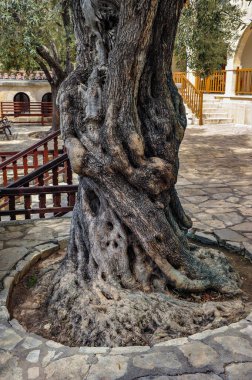 In the Troodos Mountains, in 1170, the monk Neophyte founded a monastery in the cave of Enclistra. After centuries of ruin and abandonment, the monastery was rebuilt and became a holy place in Cyprus   