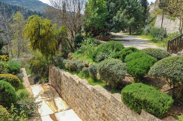 Dans Les Monts Troodos 1170 Moine Néophyte Fonde Monastère Dans — Photo