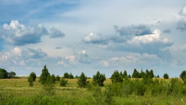 Timelapse van aard - wolken en bomen — Stockvideo