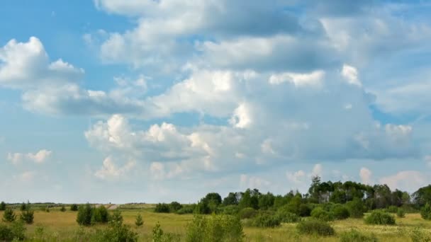 Timelapse van aard - hemel en bomen — Stockvideo