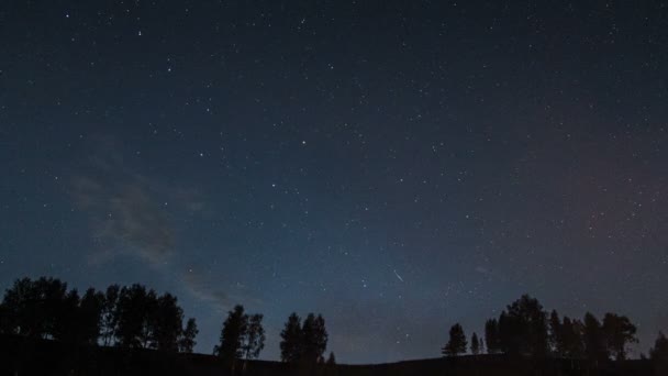 Cielo estrellado tarde en la noche — Vídeo de stock