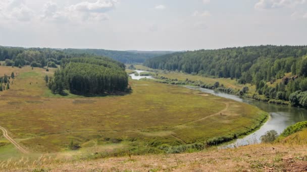 Vue sur le dessus - rivière et prairie — Video